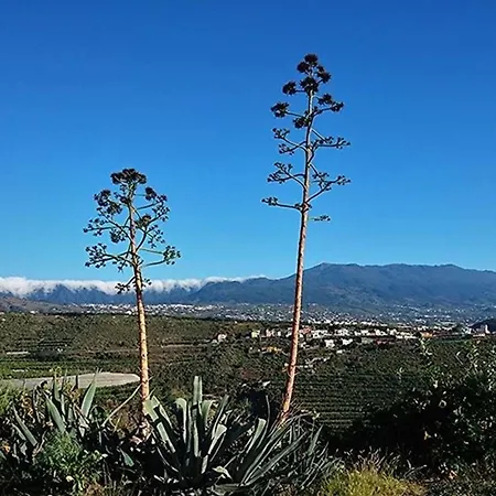 Casa Caldera *
